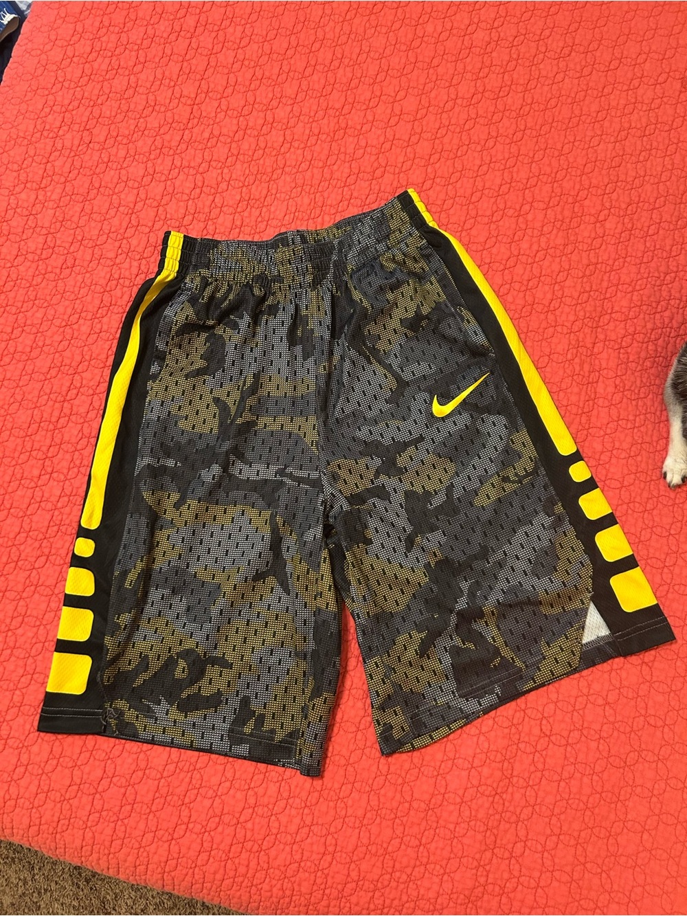 Nike Basketball Shorts